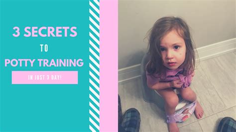 How To Potty Training Your Toddler In 3 Days Everything Erica
