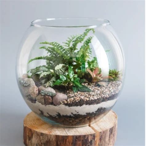 Terrariums Gro Urban Oasis