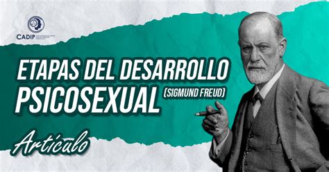 Las 5 Etapas Del Desarrollo Psicosexual De Sigmund Freud