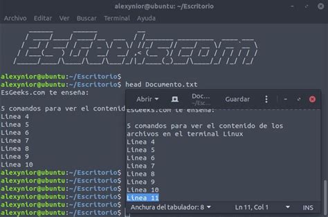 5 Comandos Para Ver Contenido De Archivos En Linux Esgeeks Linux