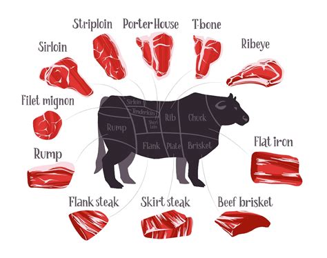 A Guide To All The Cuts Of Beef 40 Off