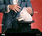 MAN MAGICIAN PULLING RABBIT OUT OF HAT Stock Photo - Alamy