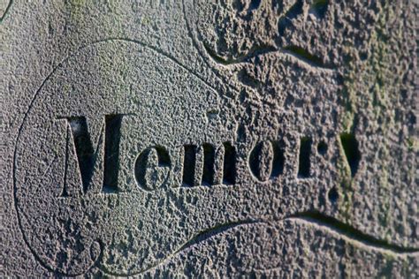 Fading Memory Stock Photos Pictures And Royalty Free Images Istock