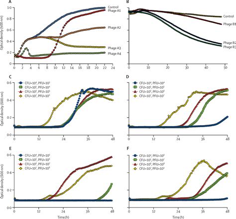 Clinical Phage Microbiology A Suggested Framework And Recommendations For The In Vitro Matching