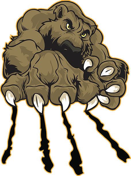 Best Kodiak Brown Bear Illustrations Royalty Free Vector Graphics