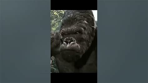 King Kong Vs Optimus Primal Transformers Part2 Youtube