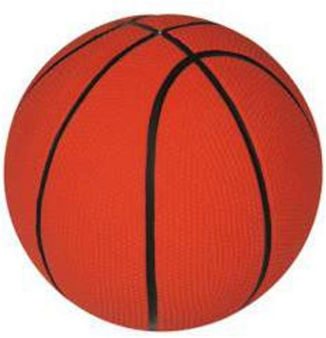 Lees hier wat minibasketbal inhoudt en welke tools je kan gebruiken in jouw club. bol.com | Flamingo honden speelgoed basketbal - 13 cm