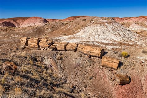 The Painted Desert Petrified Forest National Park