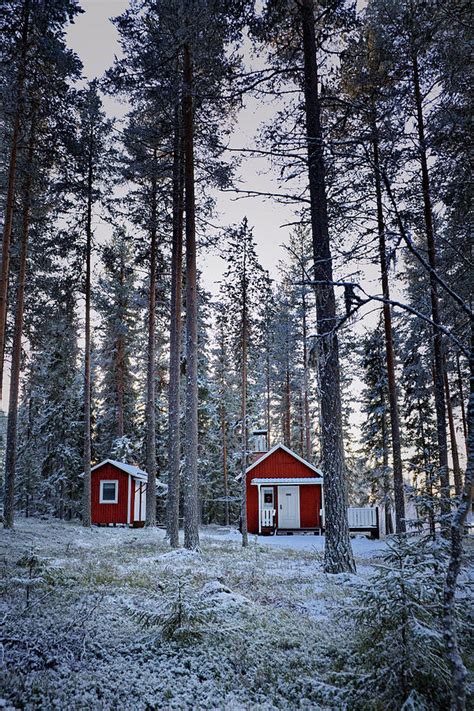 Little Red House Surrounded By Snowy Forest Photograph By Ulrich Kunst