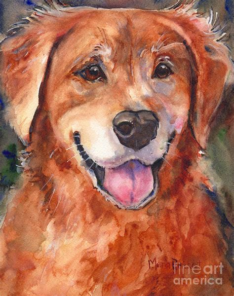Golden Retriever Dog In Watercolor Painting By Maria Reichert Fine