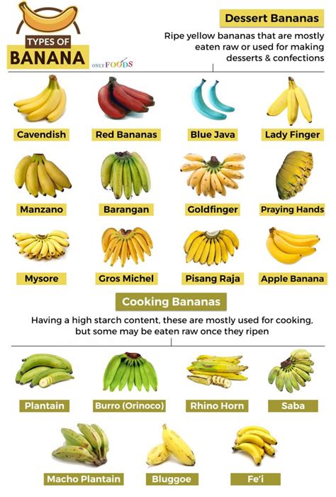 The Ripening Of The Banana Themountainsarecallingearth