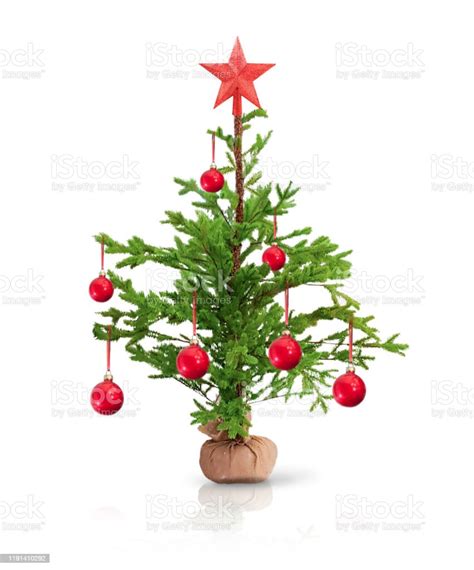 Little Christmas Tree Isolated On White Stock Photo Download Image