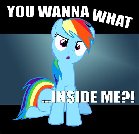 I Want To Cum Inside Rainbowdash I Want To Cum Inside Rainbow Dash