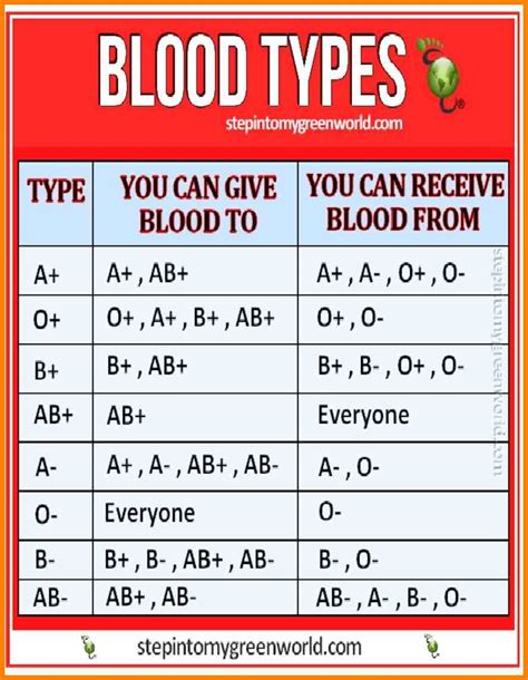 Blood Types Compatibility Chart