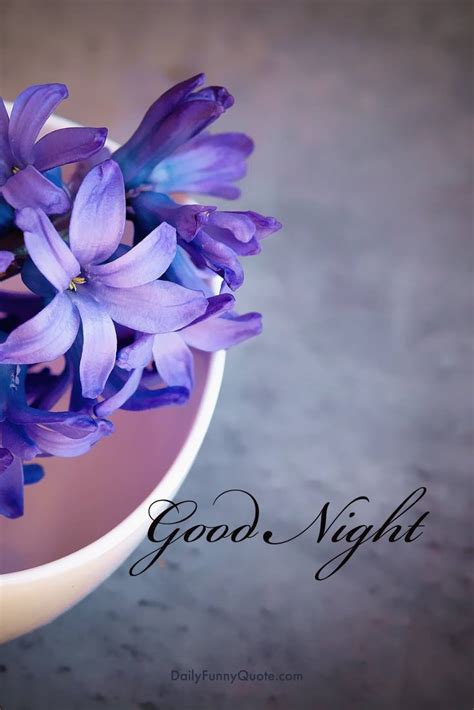 28 Amazing Good Night Quotes And Wishes With Beautiful Images 25