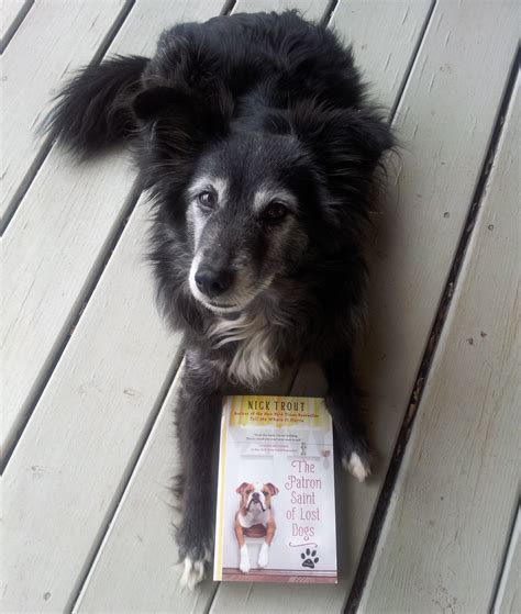 He's the only one they can pray to. The Days of Johann, an agility dog!: Book Review: The ...