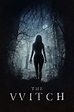 The Witch (2015) - Posters — The Movie Database (TMDB)