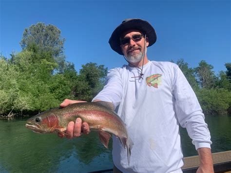 Fishing Trout Fishing On The Sacramento River