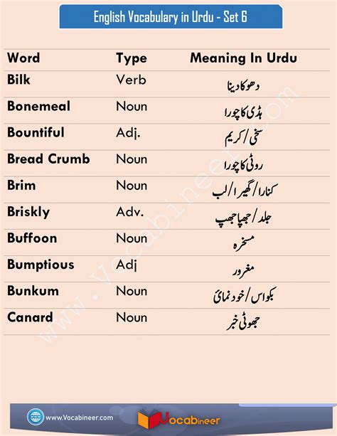 English Urdu Words List English Vocabulary Words Urdu Words Word List