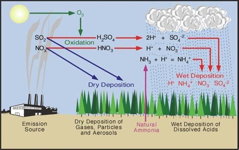 What Is Acid Rain And How Is It Caused