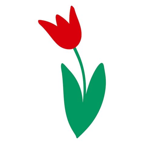 Premium Vector Red Tulip Flower Vector Illustration