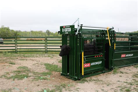 The Best Cattle Squeeze Chute For Up And Coming Ranchers Arrowquip