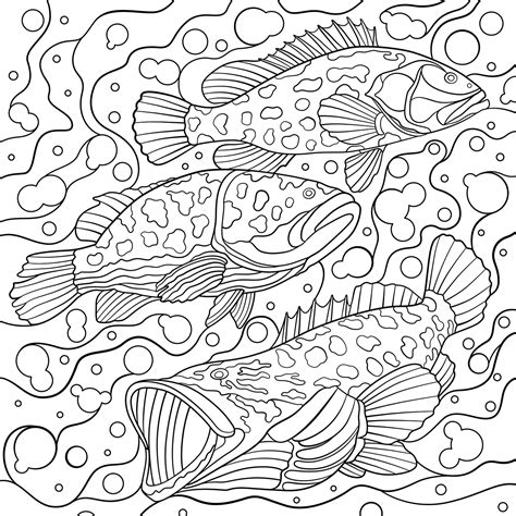 National Geographic Coloring Book On Behance