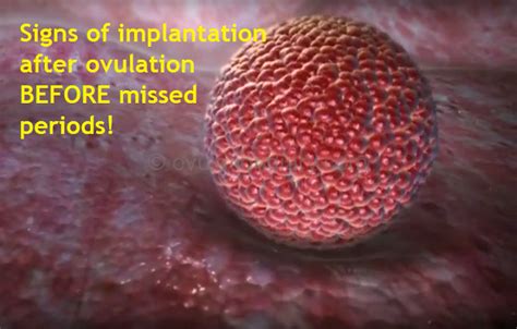 Signs Of Implantation After Ovulation Before Missed Periods