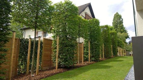 WP_20150708_004.jpg (1024×576) | Garten, Sichtschutz ...