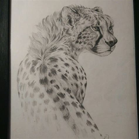 Animeoutline provides easy to follow anime and manga style drawing tutorials and tips for beginners. My drawing of a cheetah (With images) | My drawings, Drawings, Cool art