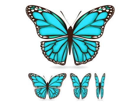 Beautiful Butterfly Material Vector Eps Uidownload