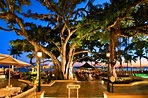 The Moana Surfrider Hotel of Waikiki, Hawaii—Elegance for the Ages ...