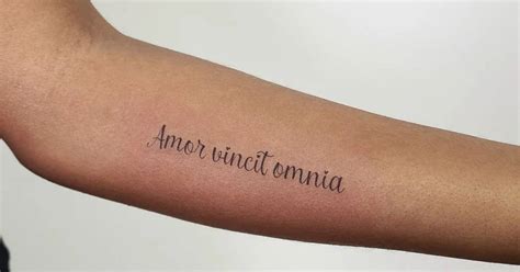 amor vincit omnia tattoo done on the inner forearm