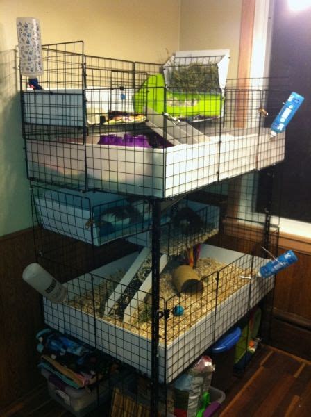 Multi Level Stacked Cages Guinea Pig Cage Photos
