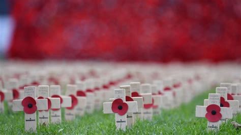Armistice Day Remembering Bravery And Sacrifice Catholic Media