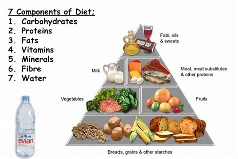 What Is Balance Diet And Its Components Your Info Master