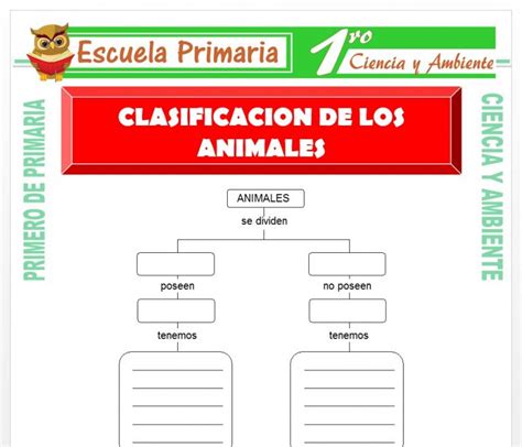 Clasificacion De Los Animales Para Primero De Primaria Escuela