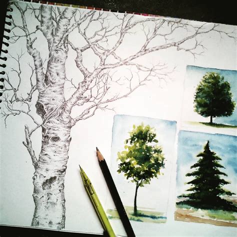 Pencil And Watercolor Trees Drawing And Painting Tree Drawing