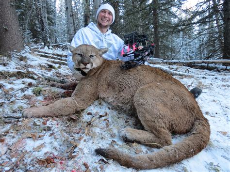 Cougar Hunt 2 Nelson Blue Ridge Outfitters