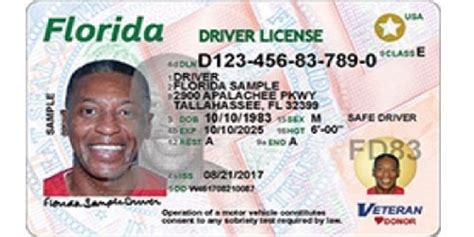 Starting In August Florida Will Phase In New Drivers Licenses And Id