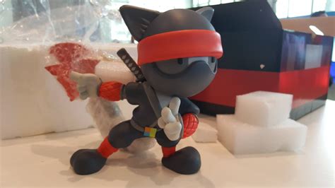 I Won A Ninja Cat At Microsoft Build 2017 Rgeek