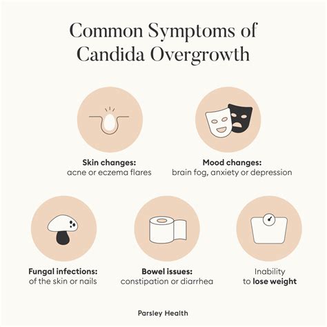 Candida Overgrowth A Doctors Guide On How To Get Rid Of Candida