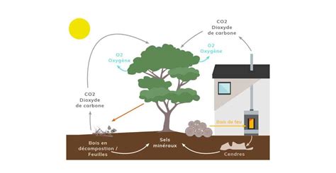 Le Bois Une énergie De Chauffage Renouvelable Et écologique Solution