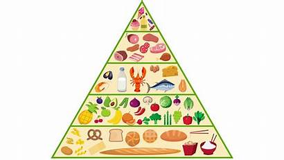 Pyramid Piramide Nutrition Animation Piramid Makanan Without