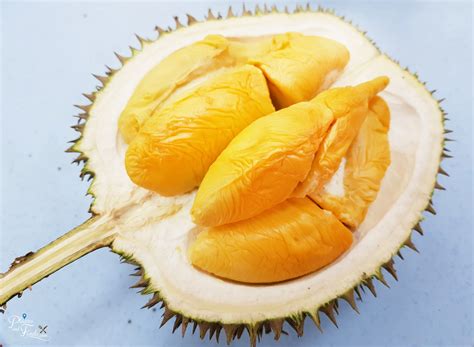 Jual bibit durian musang king. Musang King Durian Prices to Increase Soon