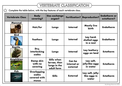 Gcse Biology Classification Worksheet Pack Teaching Resources