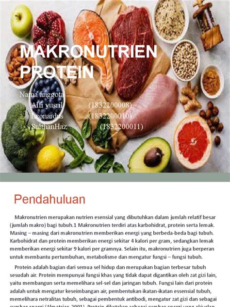 Makronutrien Pdf