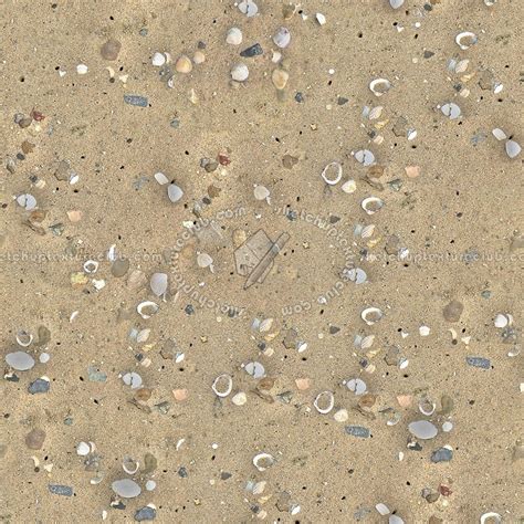 Beach Sand Texture Seamless 12737