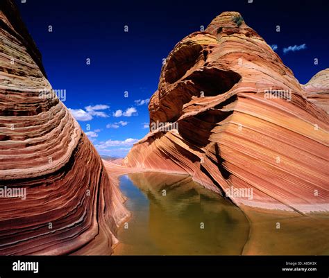 Striated Sandstone At The Wave North Coyote Buttes Paria Canyon