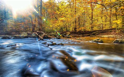 Fall In Ridley Creek State Park Pa Forest Water Stones Autumn Usa